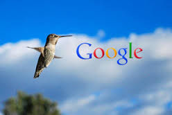 Google-HummingBird